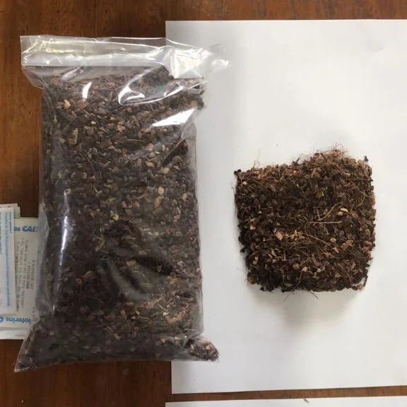 细颗粒椰块